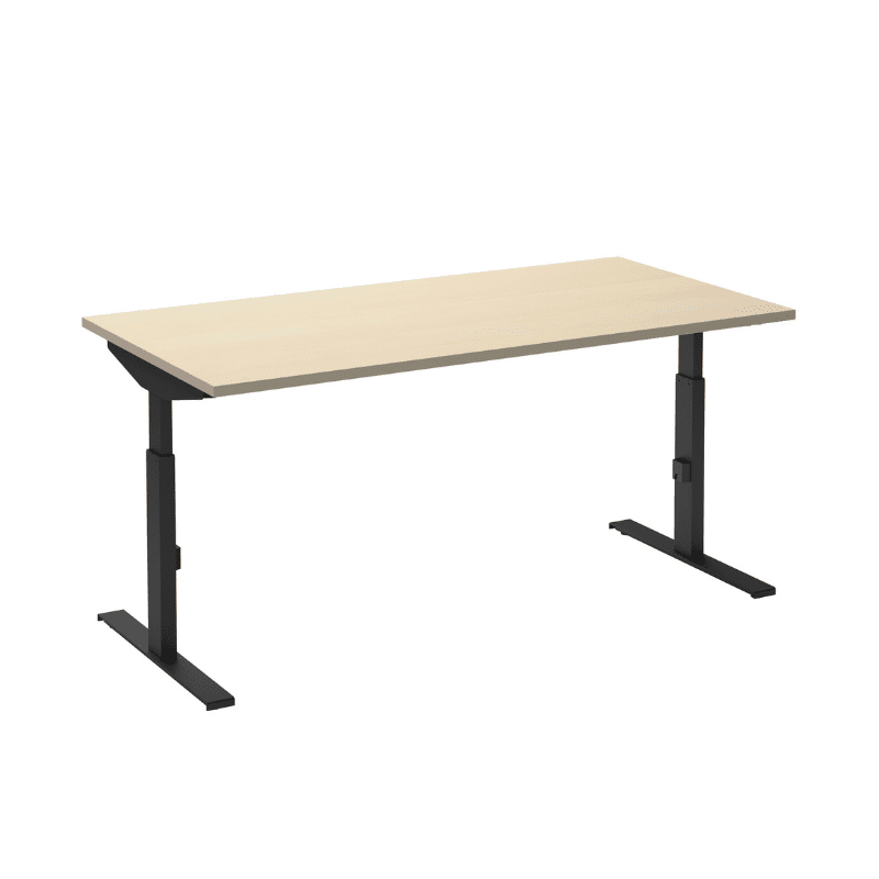 Bureau Click-T - Ceha Europe