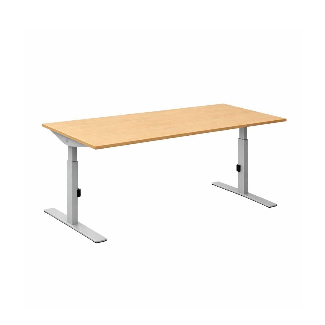 Click-t bureau met beuken blad