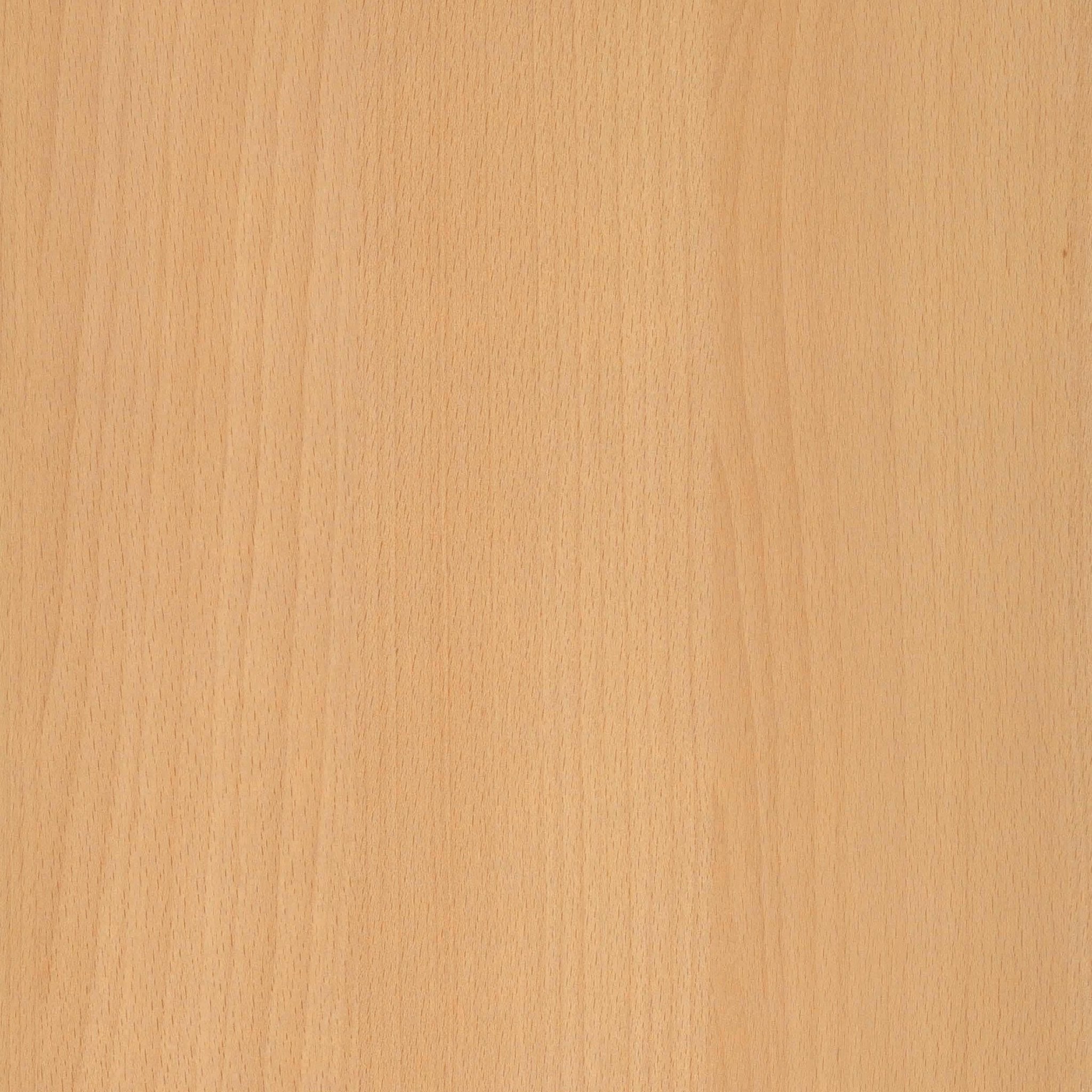 Topblad beuken 180x80 cm van Ceha Europe