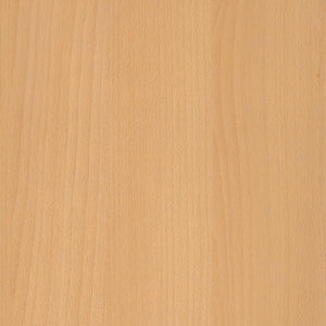 Topblad beuken 180x80 cm van Ceha Europe