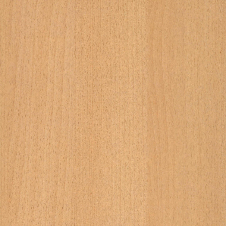 Topblad beuken 180x80 cm van Ceha Europe