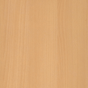 Beuken blad van Ceha Europe