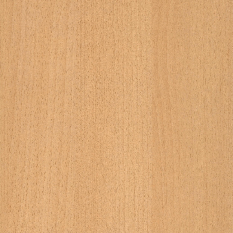 Beuken blad van Ceha Europe