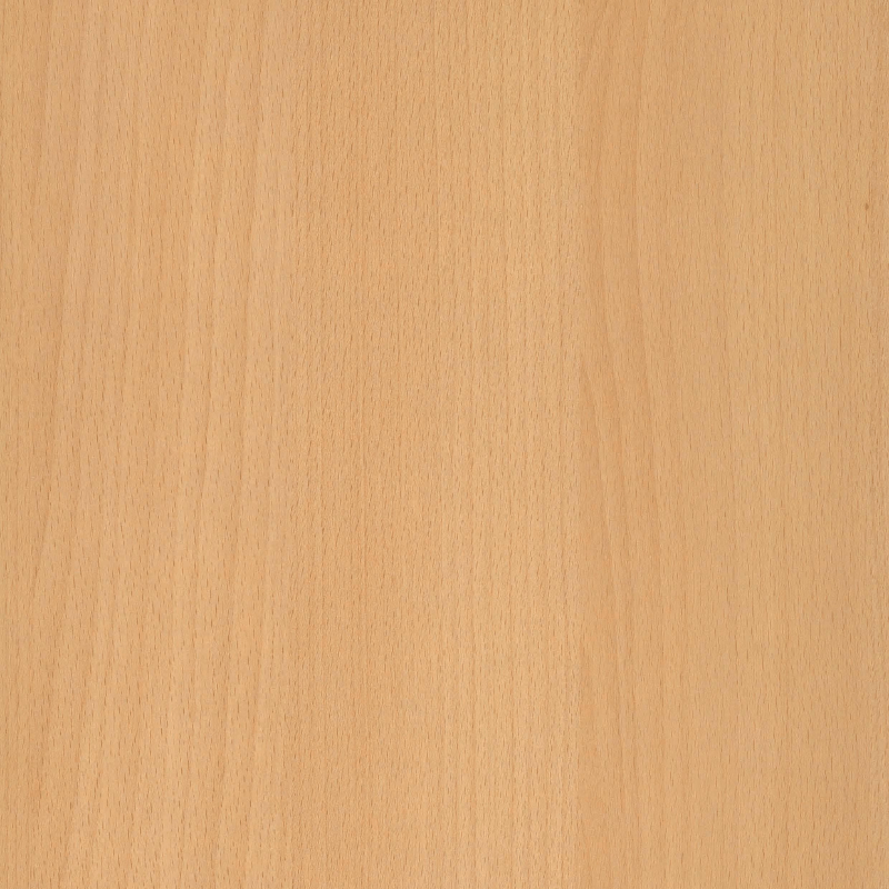 Beuken blad van Ceha Europe