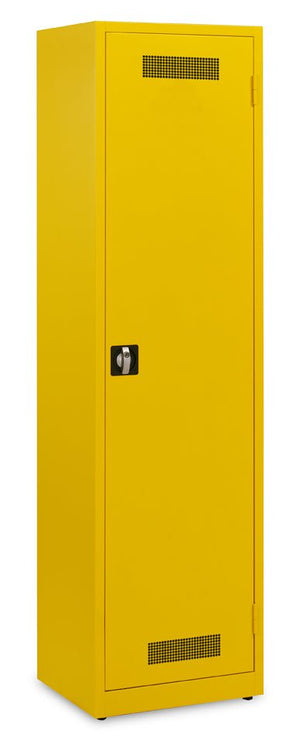 Veiligheidskast DMCHDR 195x53 (3x legbord) 1003