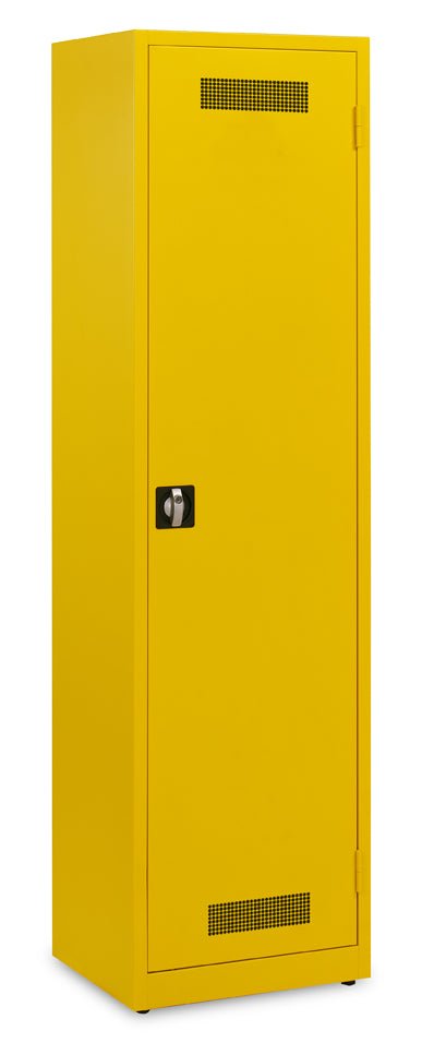 Veiligheidskast DMCHDR 195x53 (3x legbord) 1003